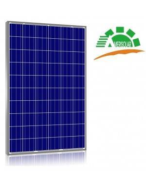 Panel Solar 255 Wp Amerisolar AS-6P30