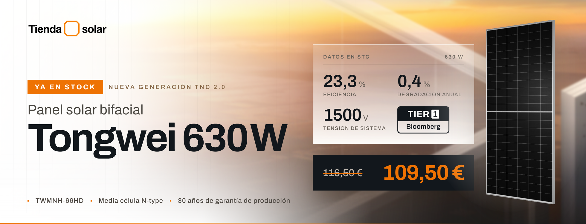 Hoymiles