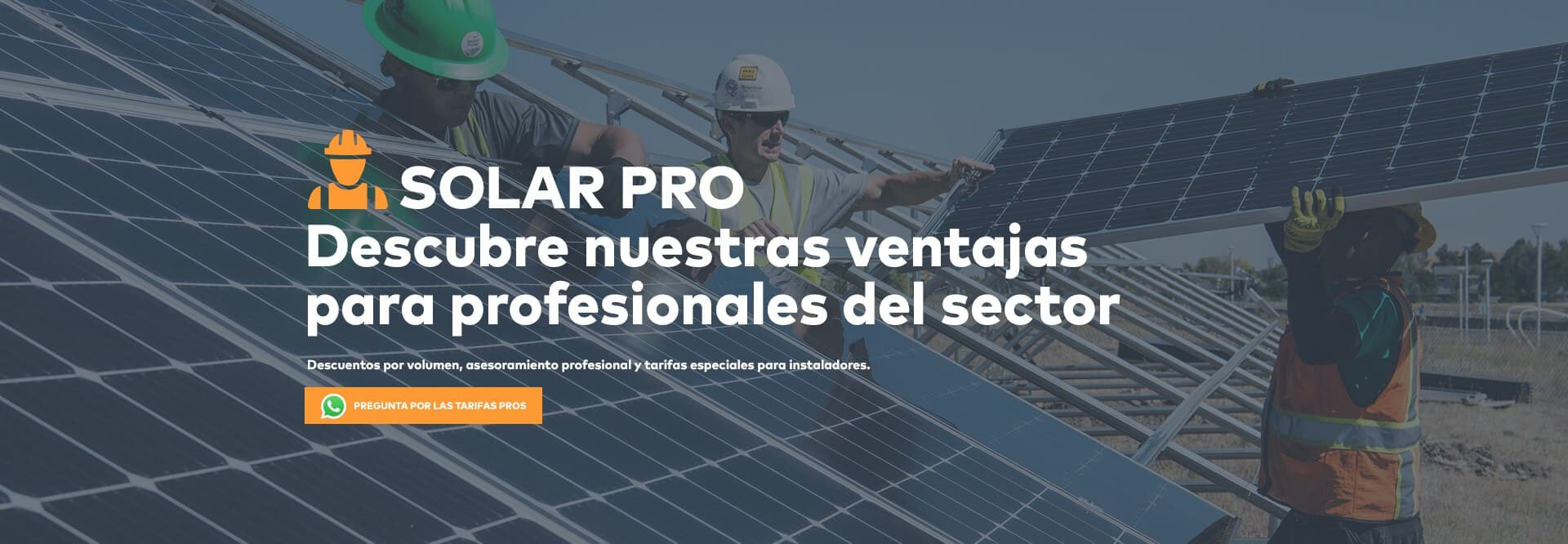 Promoció 2